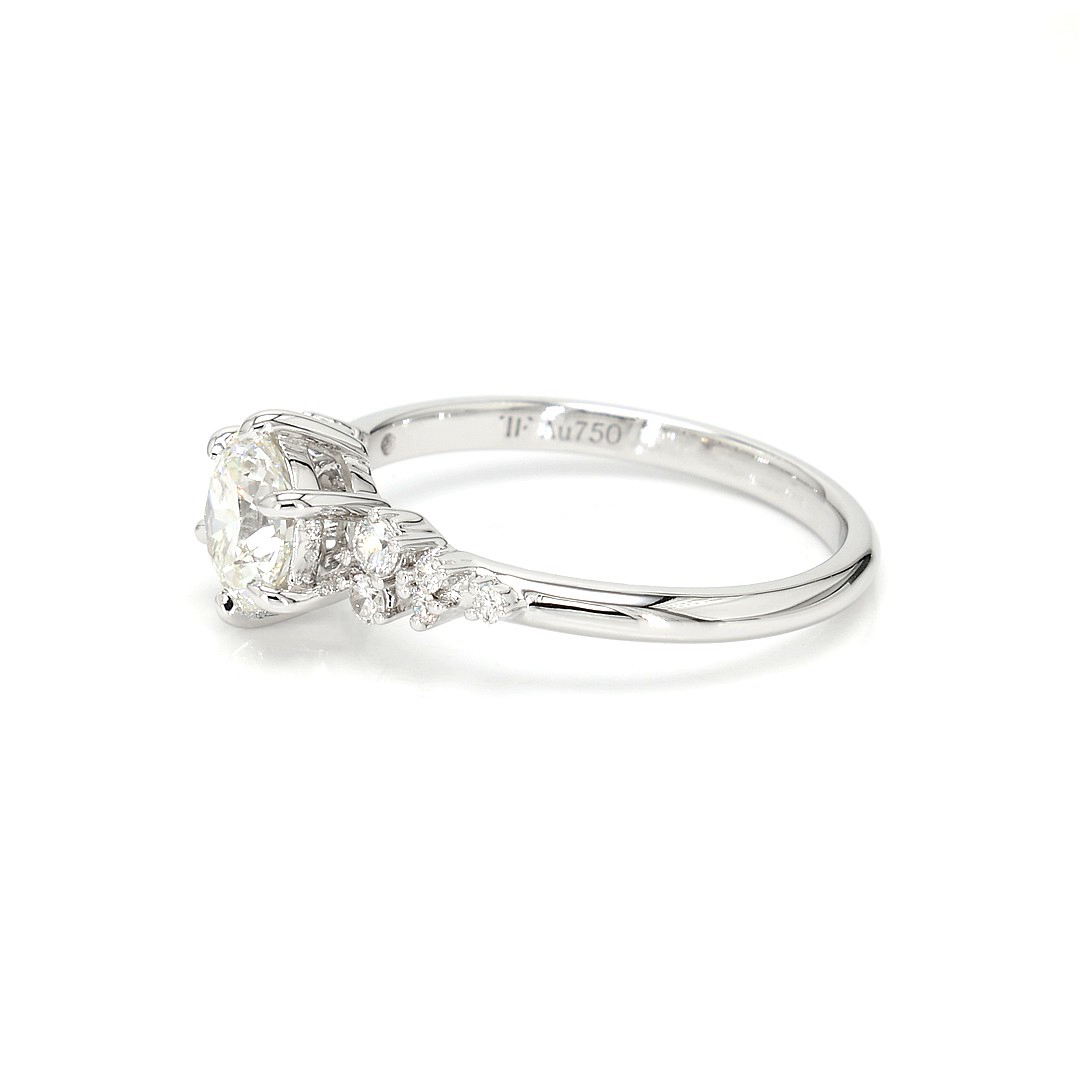 18K 0.92ct Round Shaped Sophie Ring White Frame 2