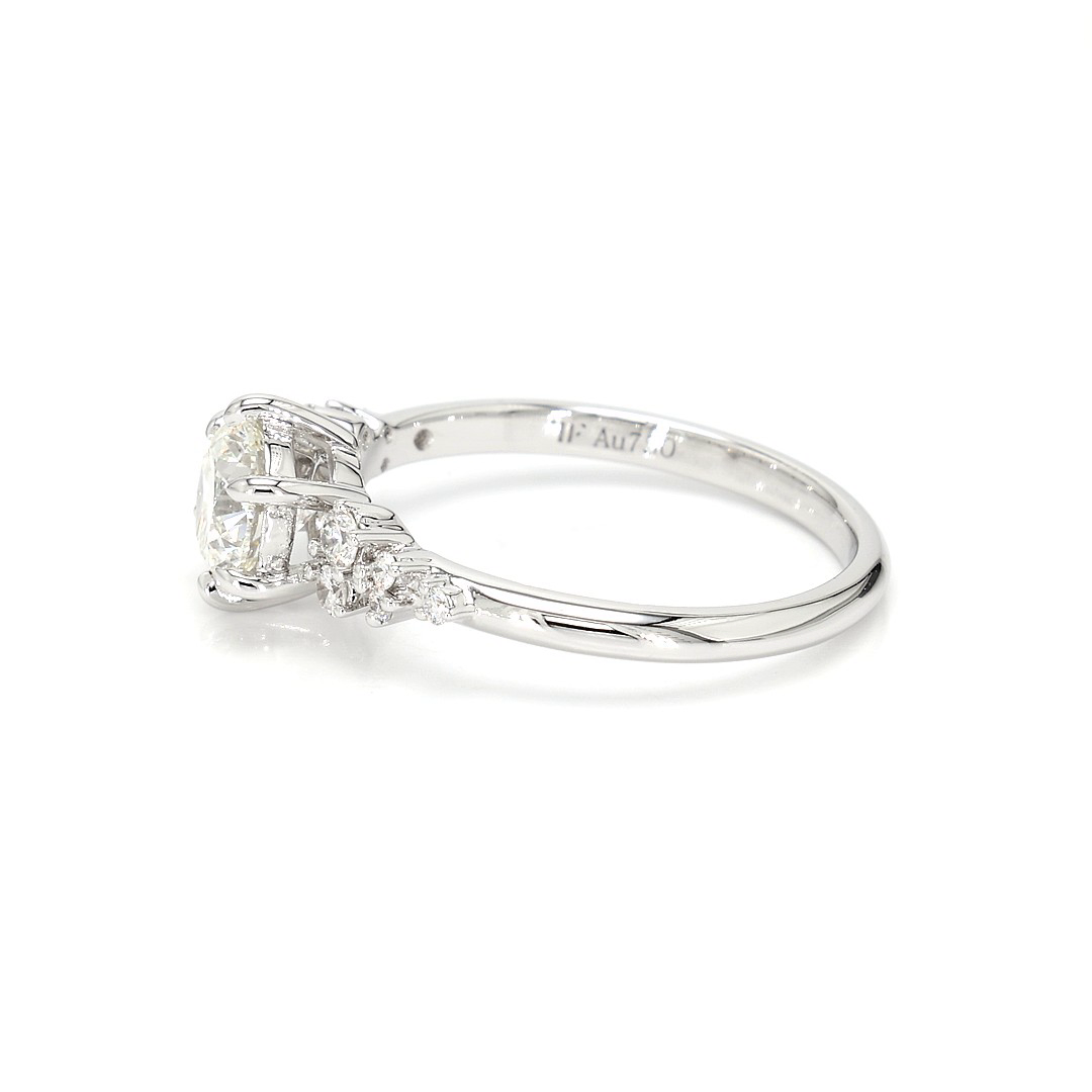 18K 0.92ct Round Shaped Sophie Ring White Frame 13