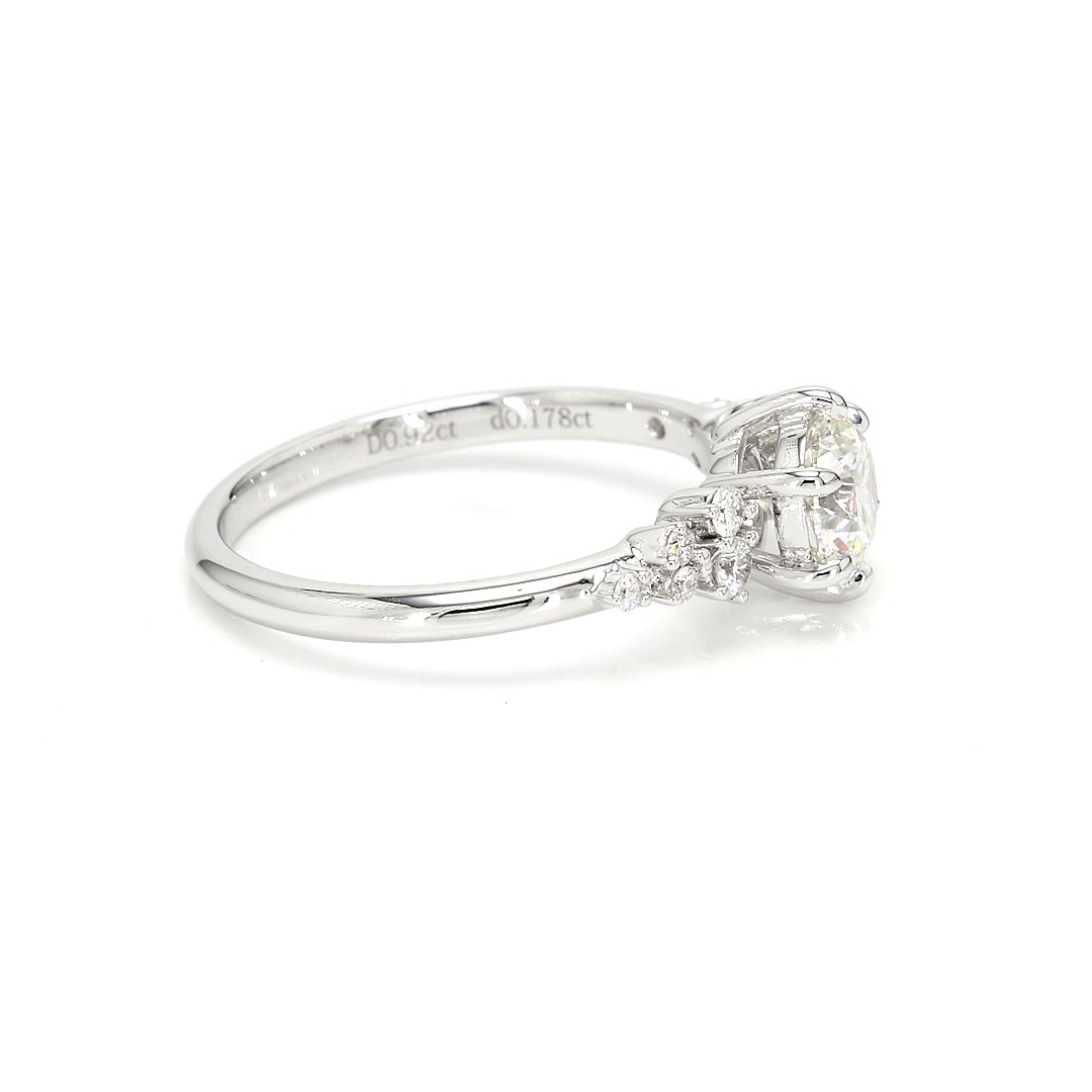 18K 0.92ct Round Shaped Sophie Ring White Frame 19