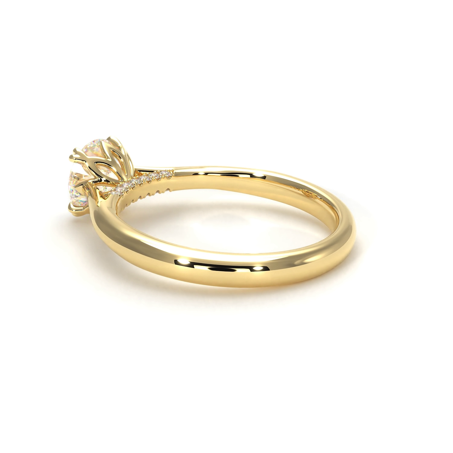 Isabella Yellow Frame 14