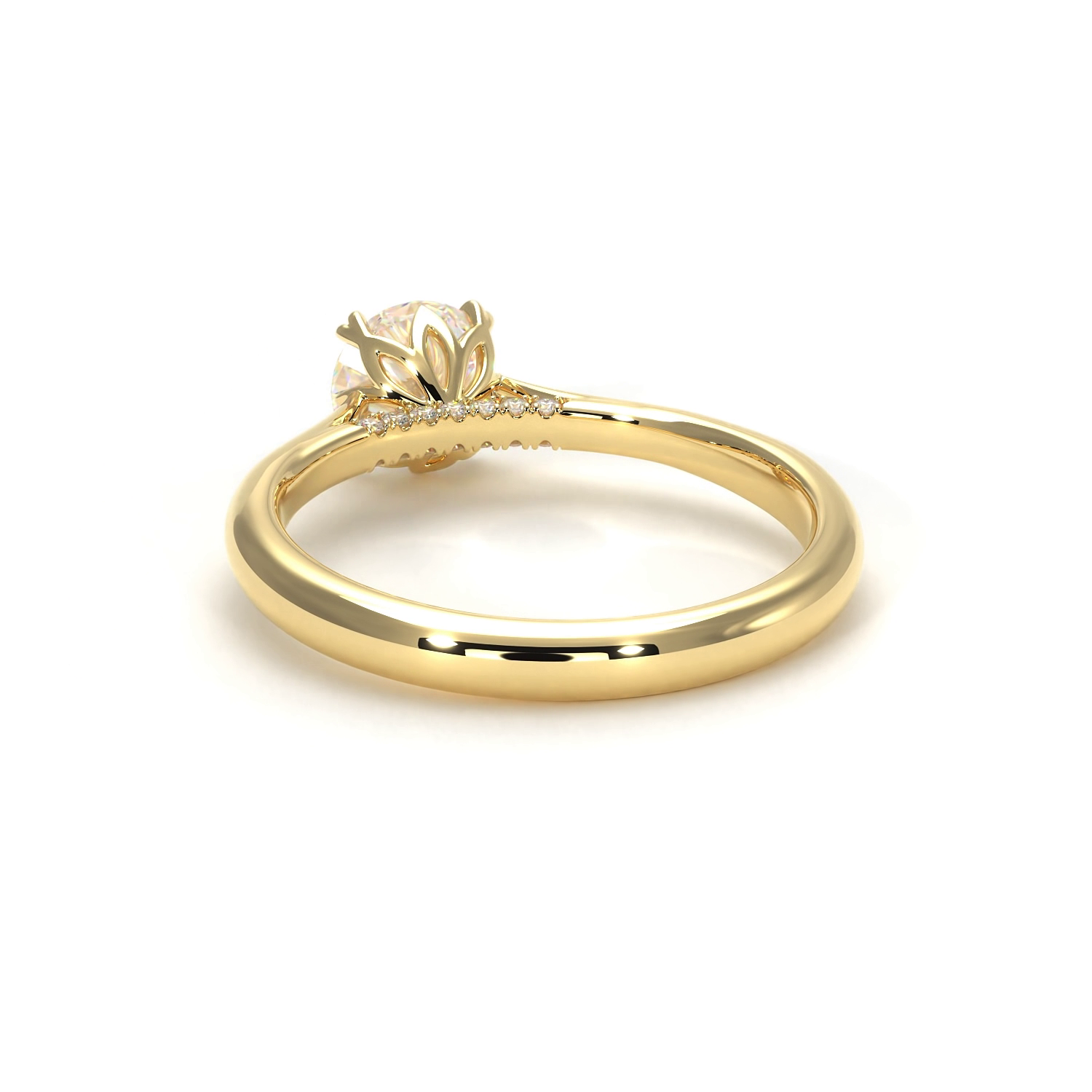 Isabella Yellow Frame 18