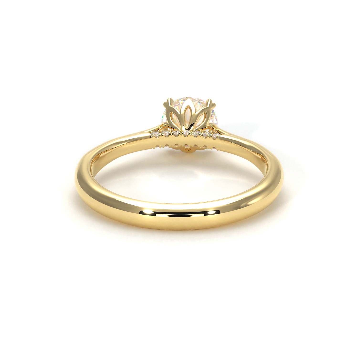 Isabella Yellow Frame 21