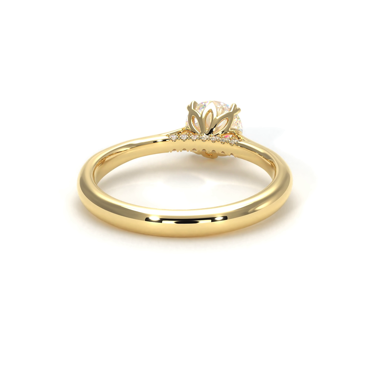 Isabella Yellow Frame 22