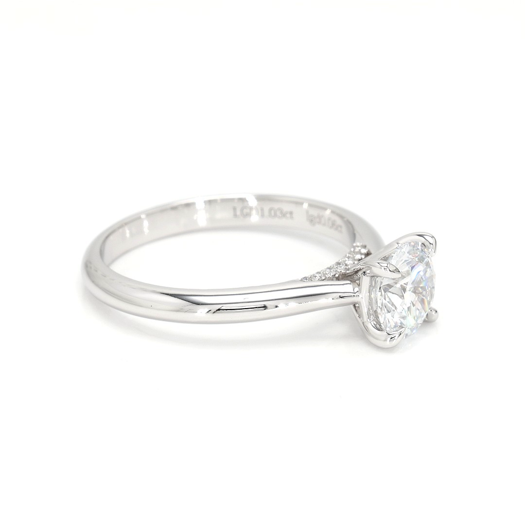 18K 1.03ct Round  Shaped Alice Ring White Frame 9