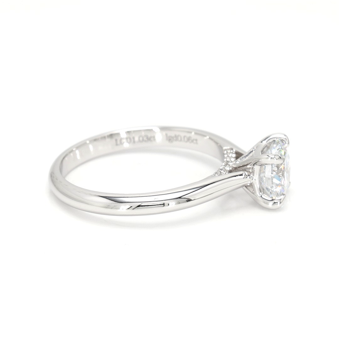 18K 1.03ct Round  Shaped Alice Ring White Frame 19