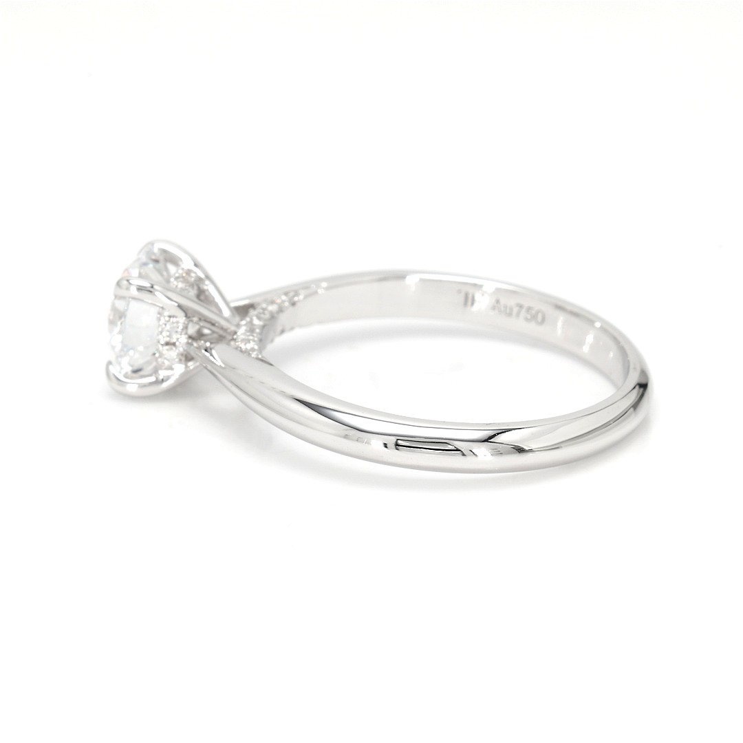 18K 1.05ct Round  Shaped Elise Ring White Frame 3