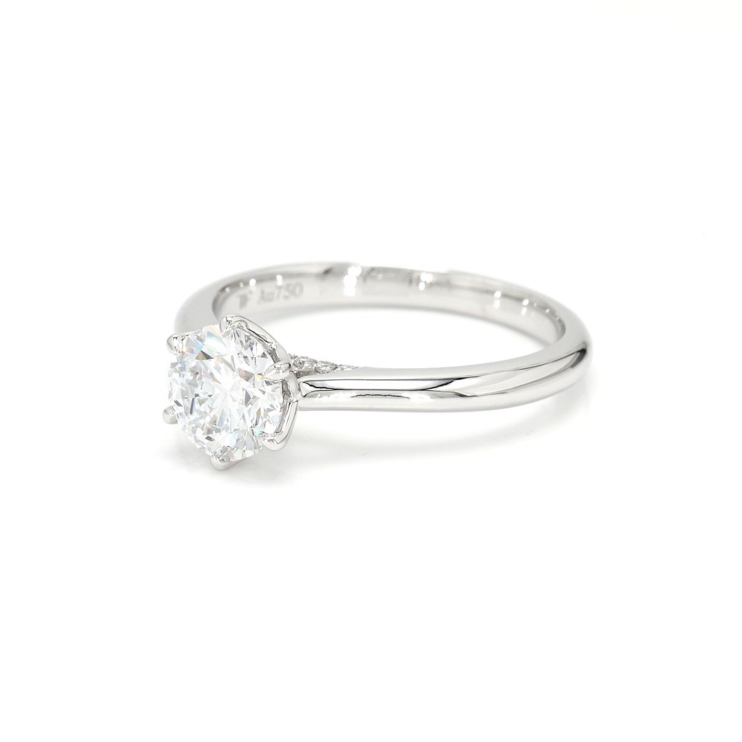 18K 1.01ct Round  Shaped Audrey Ring White Frame 1