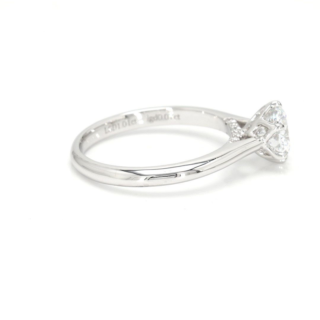 18K 1.01ct Round  Shaped Audrey Ring White Frame 8
