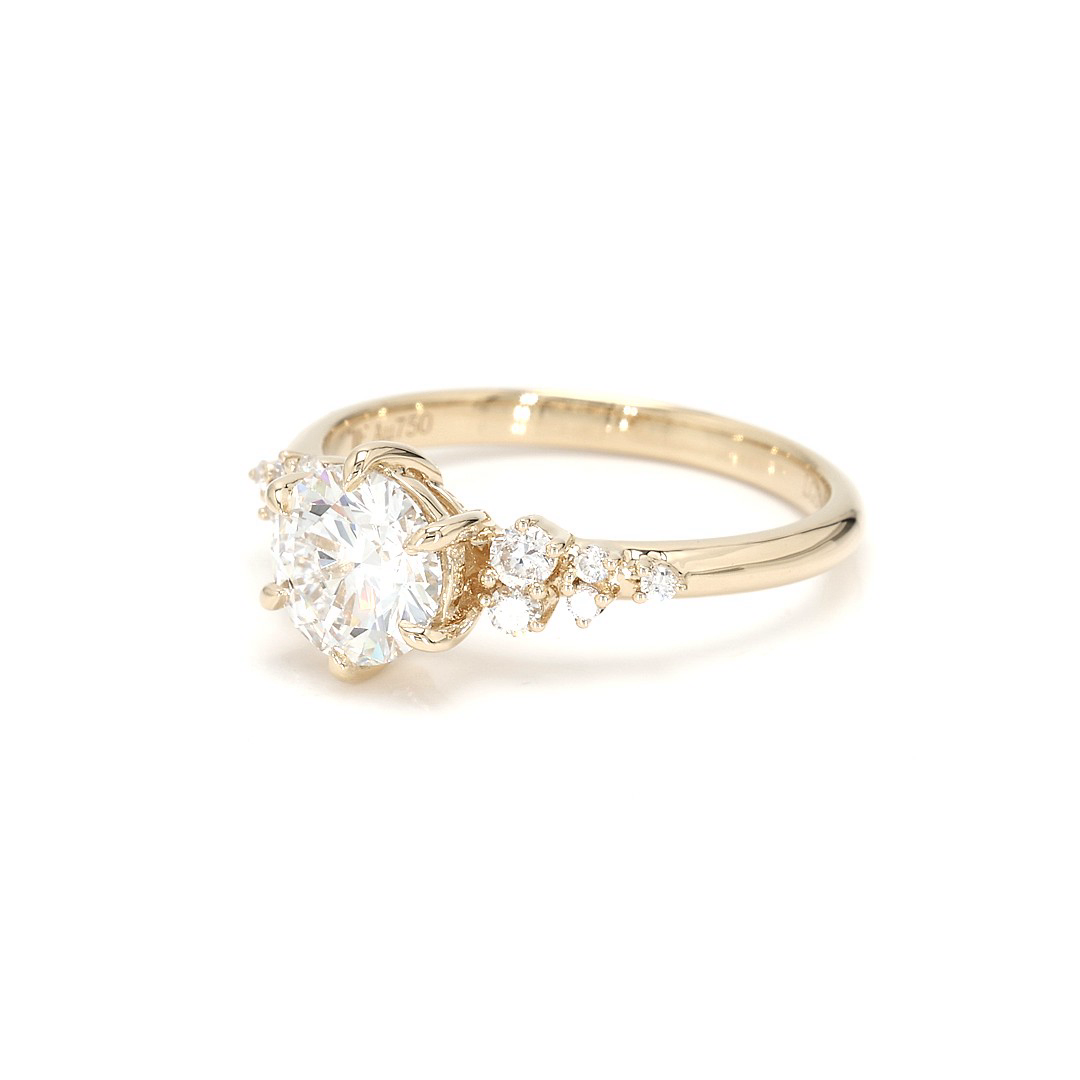 18K 1.06ct Round  Shaped Sophie Ring Yellow Frame 1