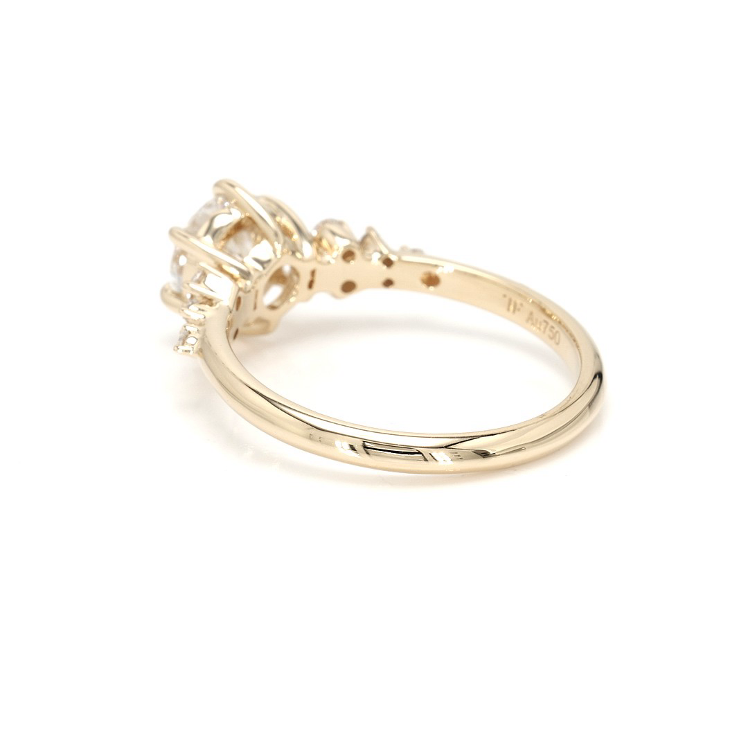 18K 1.06ct Round  Shaped Sophie Ring Yellow Frame 4