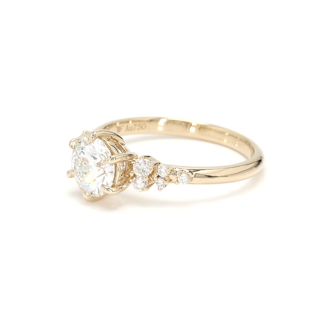 18K 1.06ct Round  Shaped Sophie Ring Yellow Frame 12