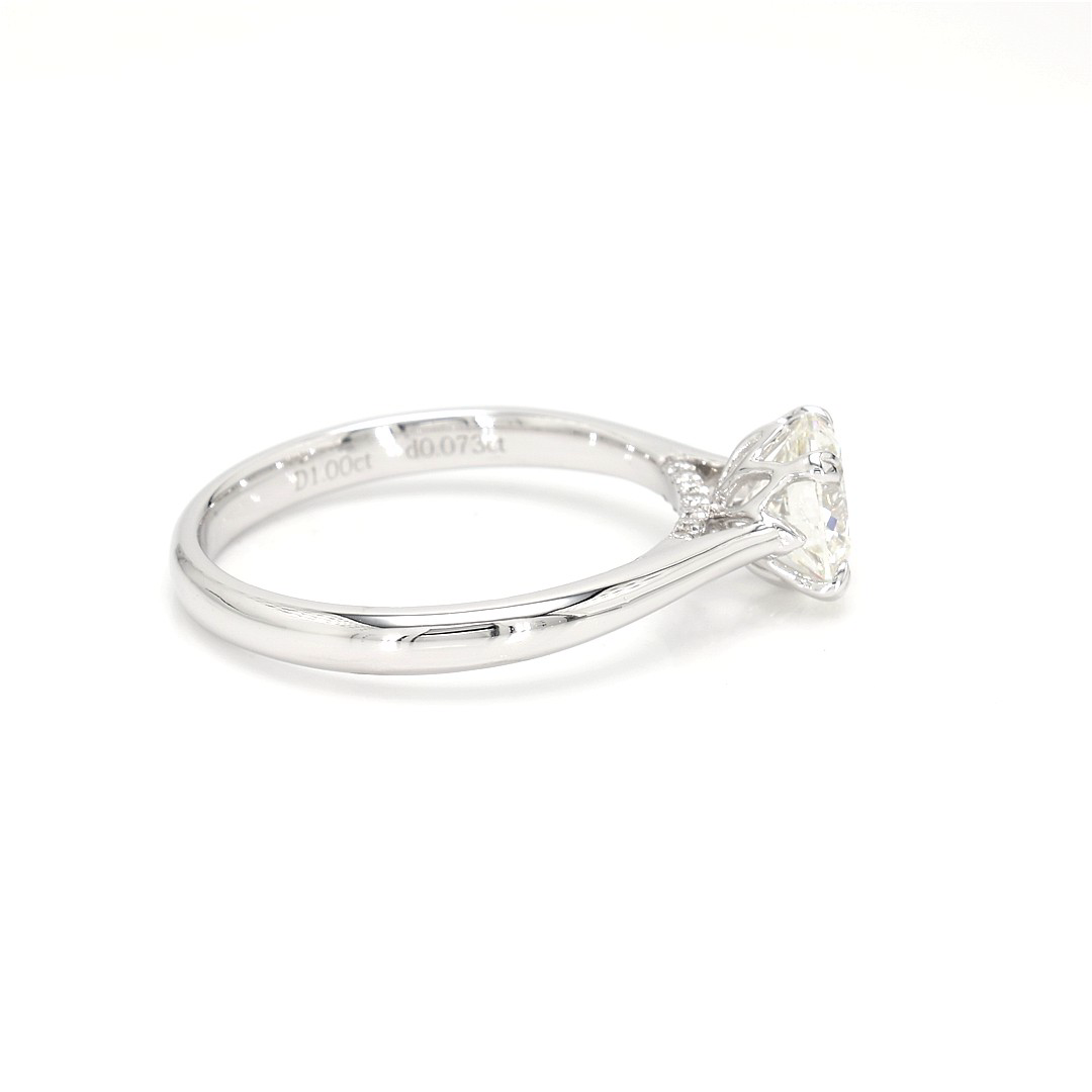 18K 1ct Round  Shaped Isabella Ring White Frame 8