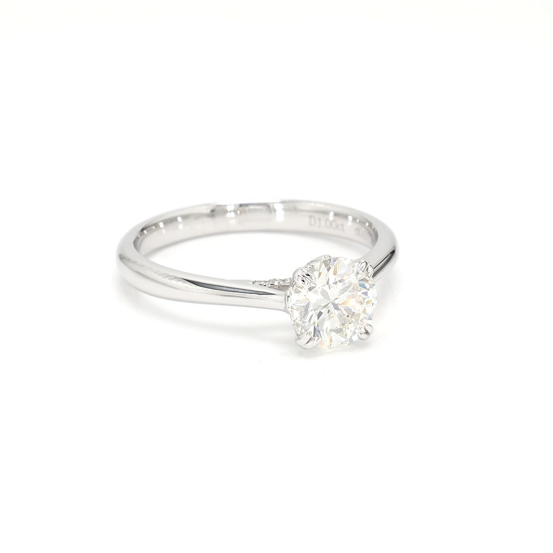18K 1ct Round  Shaped Isabella Ring White Frame 10