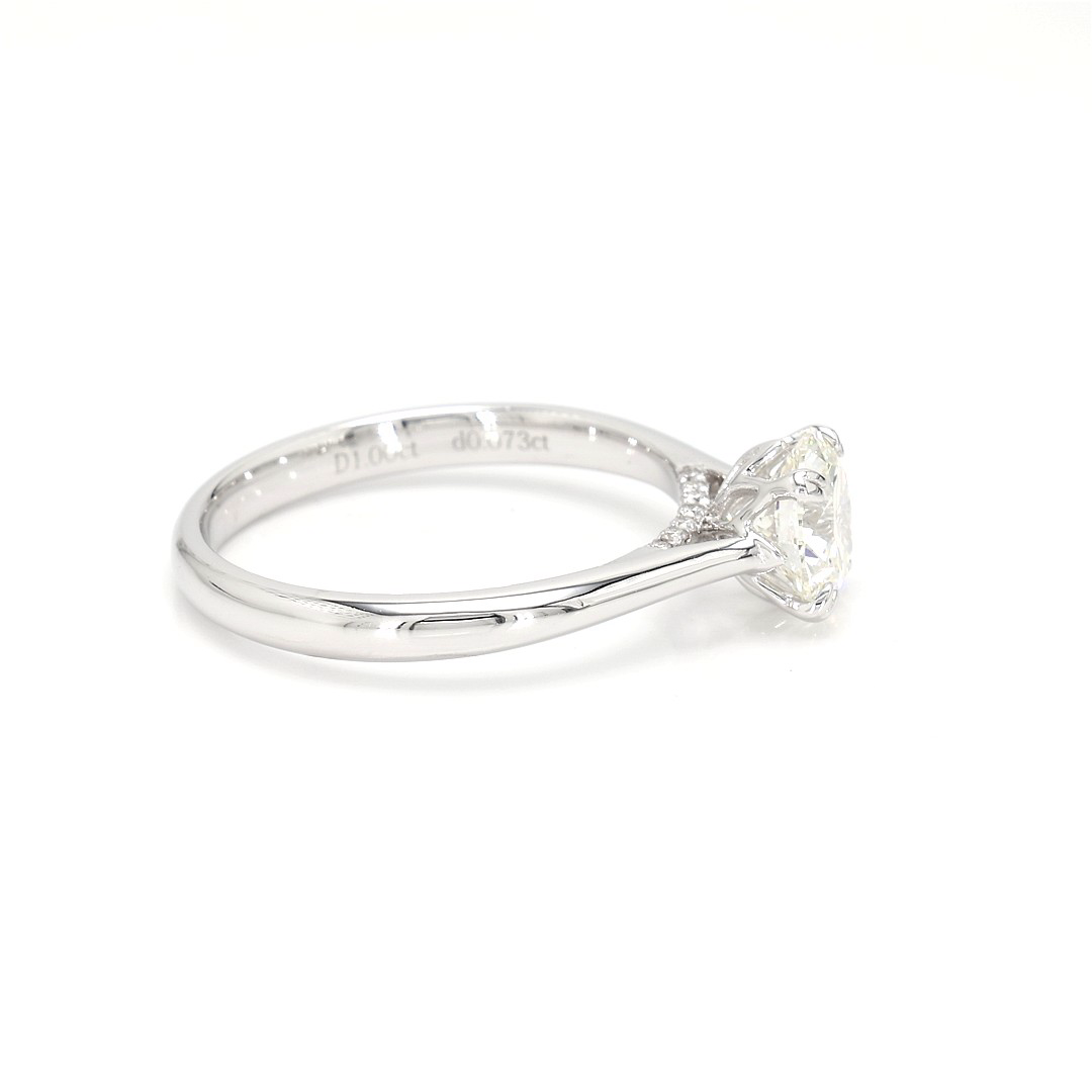18K 1ct Round  Shaped Isabella Ring White Frame 19