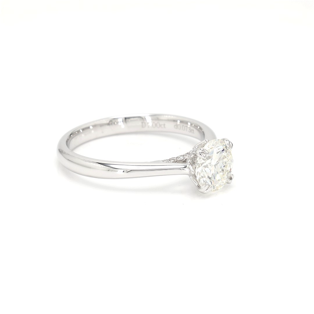 18K 1ct Round  Shaped Isabella Ring White Frame 20
