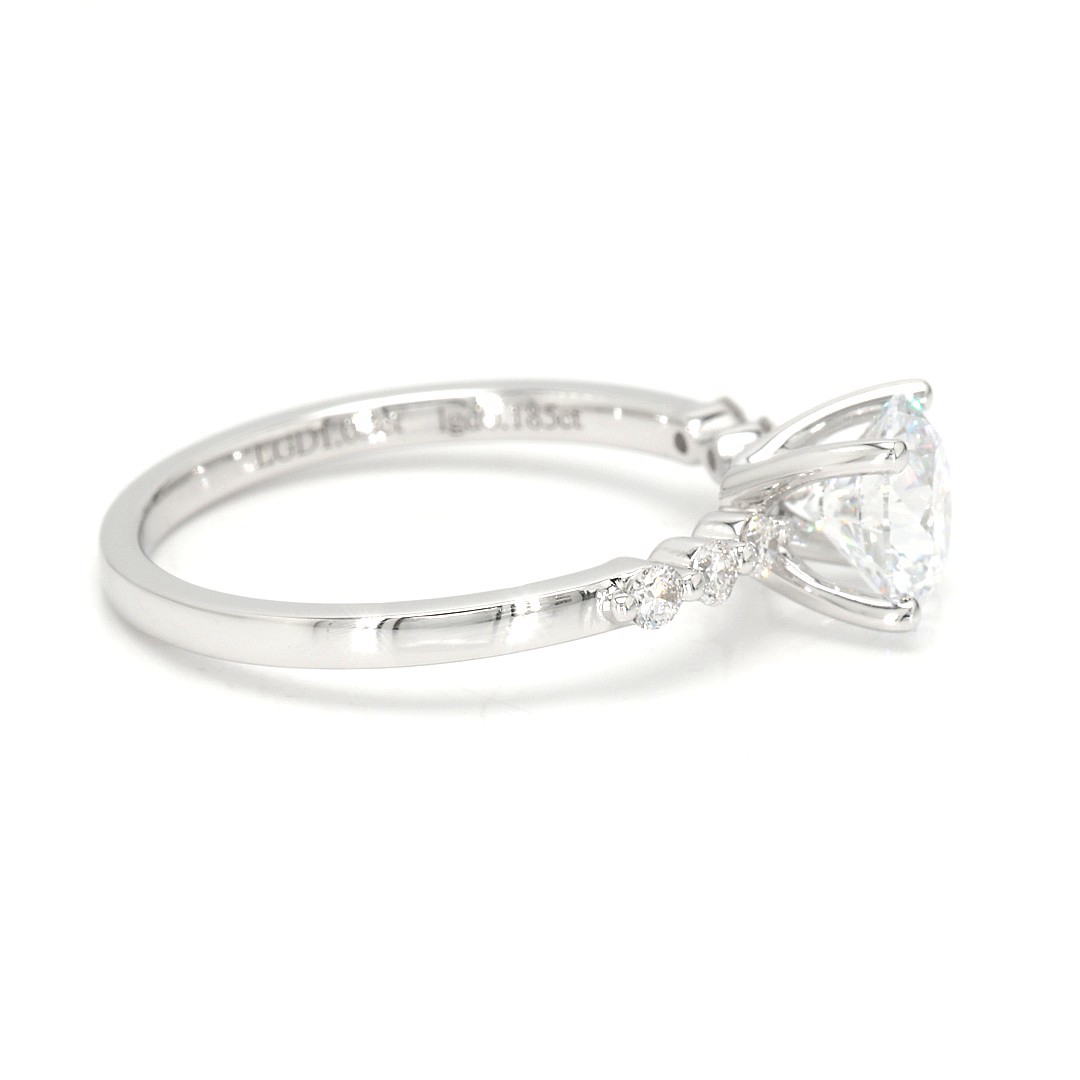 18K 1.05ct E VS1  Round  Shaped Maya White Frame 19